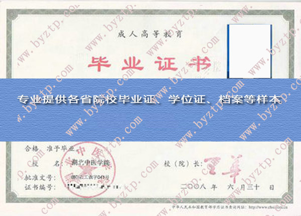 湖北中医学院2008年毕业证模板图片