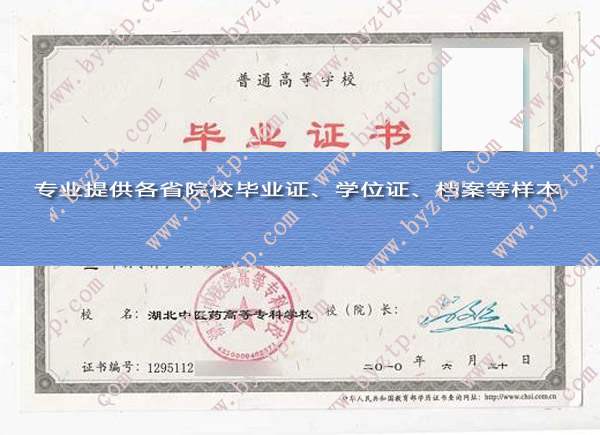 湖北中医药高等专科学校2010年毕业证模板图片（样本）