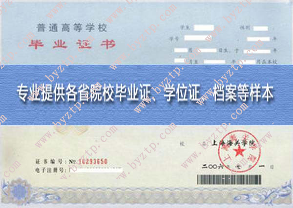 上海海关学院2006年毕业证样本图片