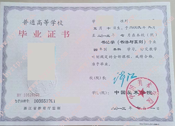 中国美术学院2013年毕业证样本图片（模板）