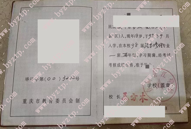 合川会江学校中专毕业证样本图片/模板