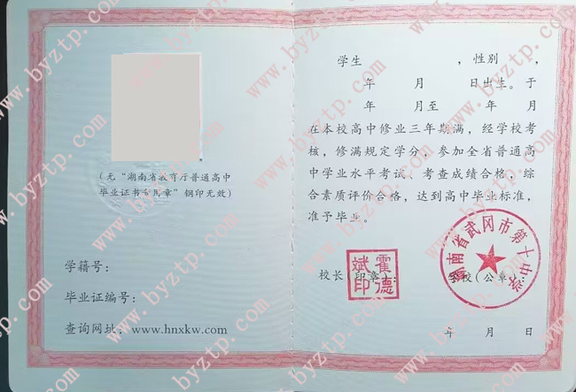 湖南省武冈市第十中学高中毕业证样本图片.jpg