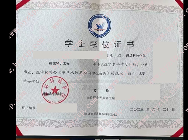 潍坊科技学院学位证样本图片.jpg