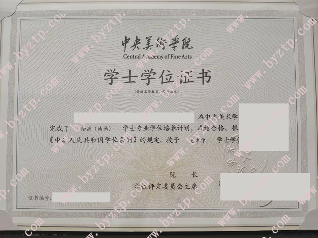 中央美术学院学位证样本图片.jpg
