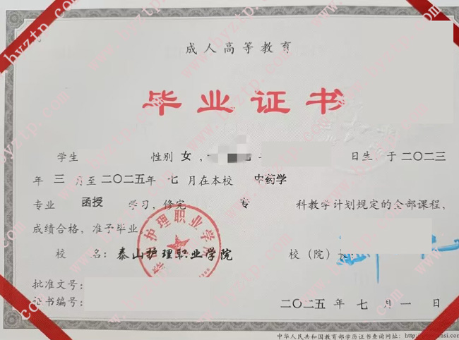 泰山护理职业学院毕业证样本图片