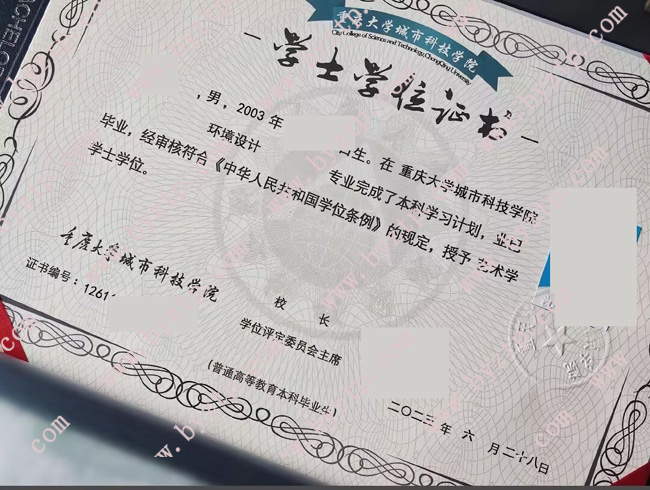 重庆大学城市科技学院学位证样本图片.jpg