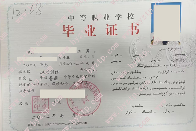 新疆竞技体育运动学校中专毕业证样本图片