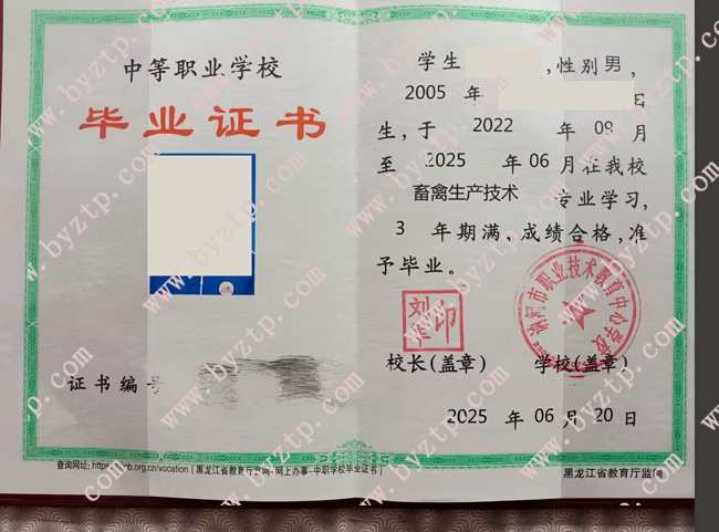 讷河市职业技术教育中心学校中专毕业证样本图片