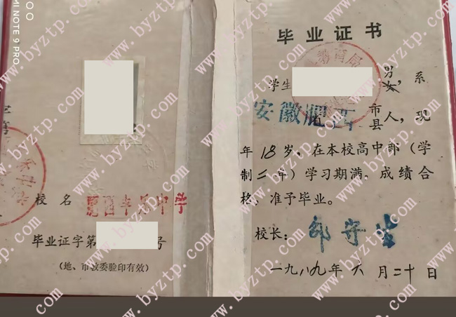 安徽省肥西丰乐中学高中毕业证样本图片