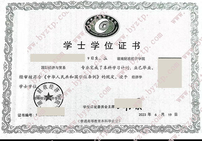 湖南财政经济学院学位证样式模板.jpg