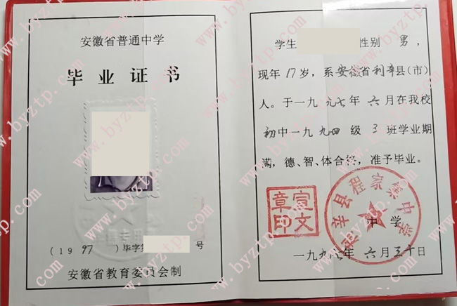 利辛县程家集中学毕业证样本图片