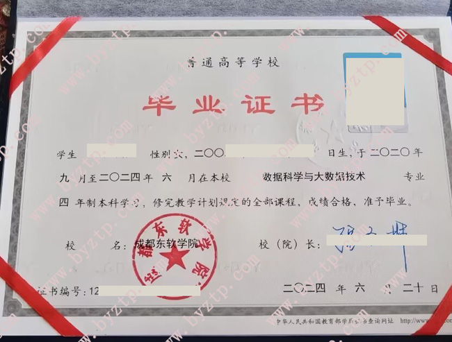 成都东软学院毕业证学位证模板图片