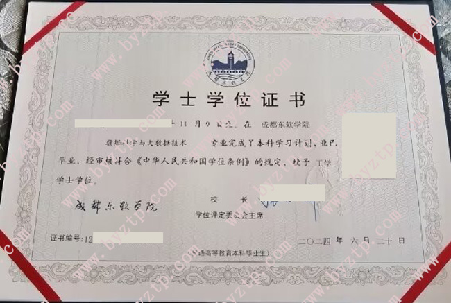 成都东软学院学位证模板图片.jpg
