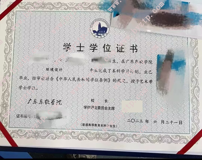 广东东软学院学位证模板图片.jpg