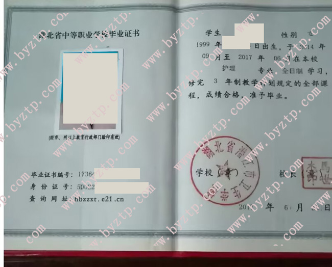 湖北省潜江市卫生学校中专毕业证样本模板.jpg