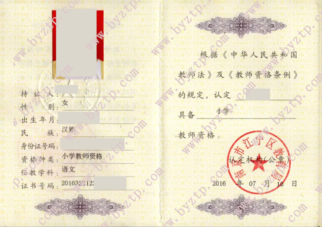 南京市江宁区教师资格证模板样本.jpg